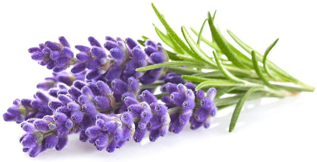Click & Grow Plant Pods Lavender