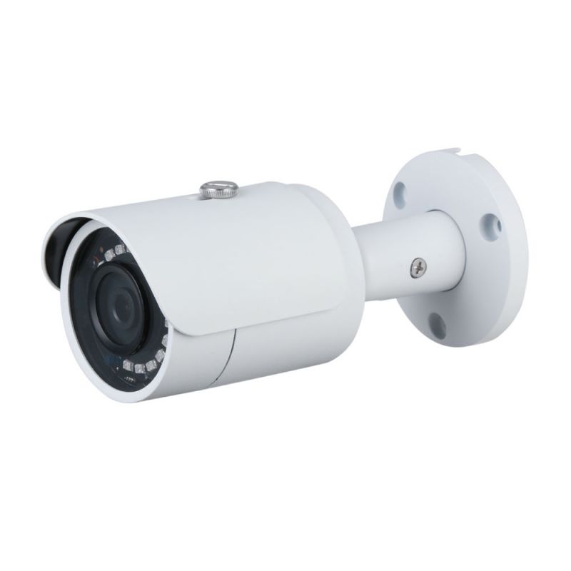 IP Cameras