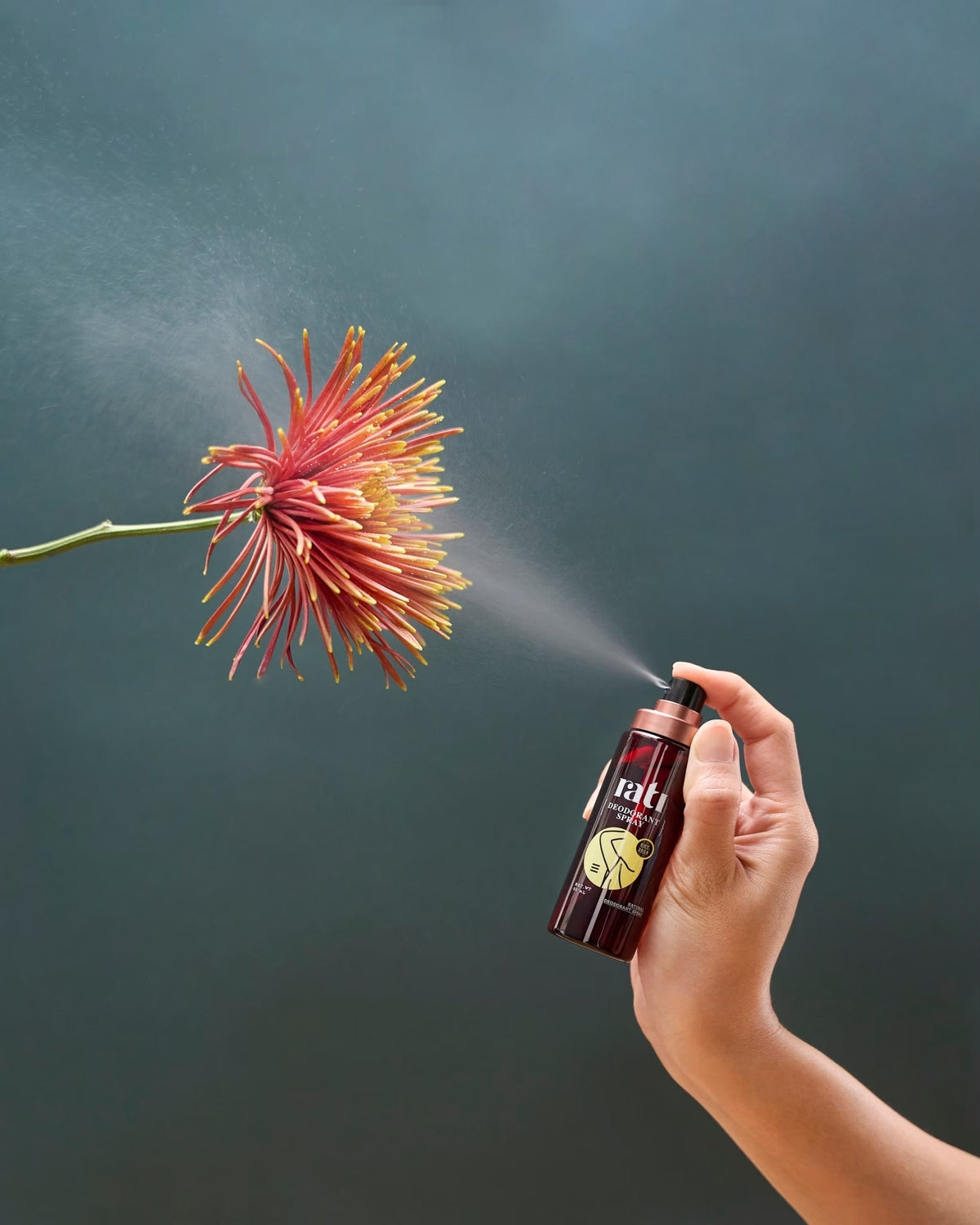 Rati Natural Deodorant Spray x 6 pcsPersonal CareSpecial formula of deodorant spray made from high-quality potassium alum. Peppermint oil provides a fresh and comfortable feeling while Aloe Vera extract helps protect skin from irritation, leaving your ski