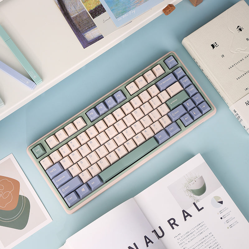 Keystrook Minilo 75% Keyboard - EucalyptusComputer & Laptop AccessoriesIntroducing the Keystrook Minilo 75% Keyboard: a compact yet powerful mechanical keyboard designed for gamers and professionals seeking efficiency without sacrificing functionality. It