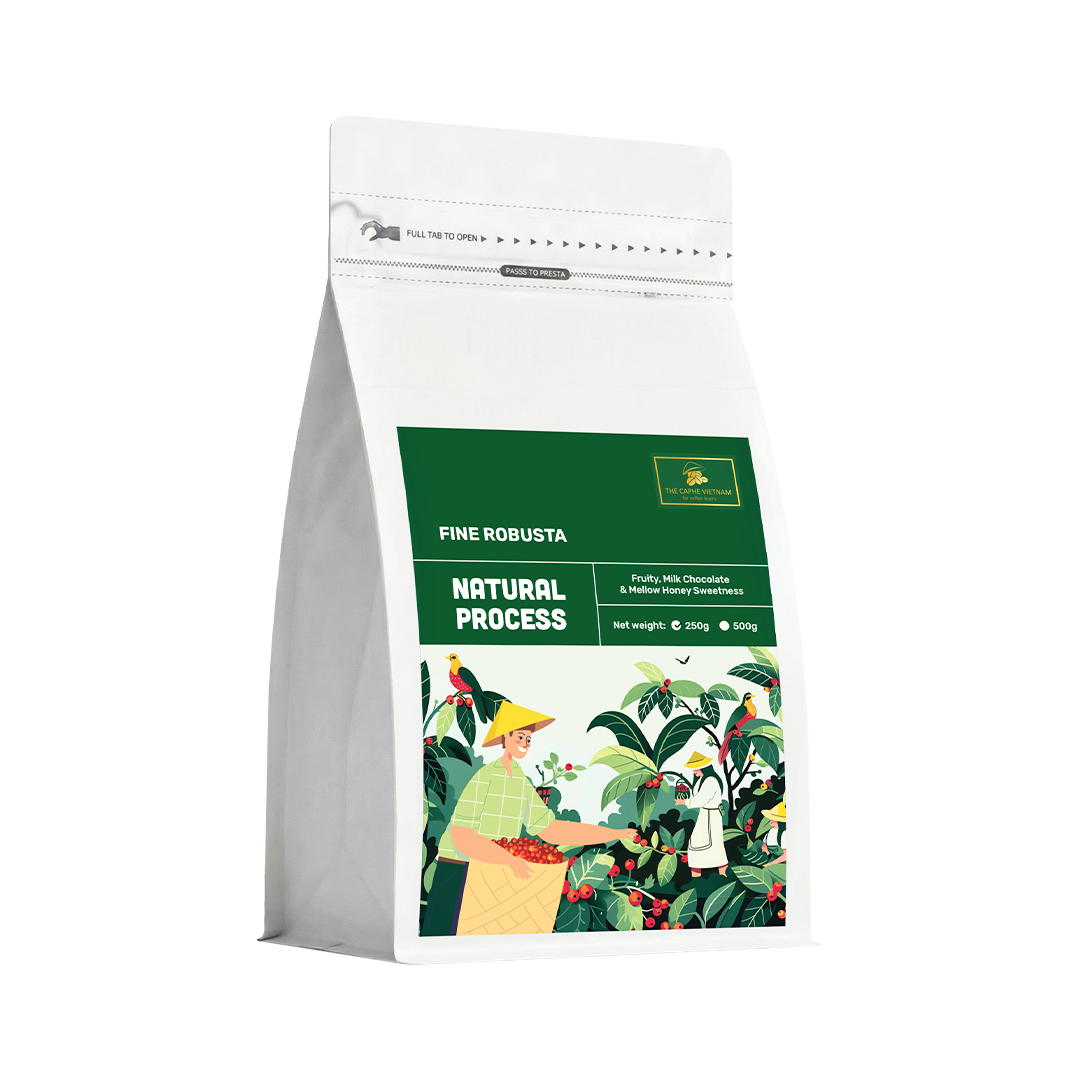 The Caphe Vietnam Fine Robusta Whole Beans Coffee - 250 G | Natural Process | Medium Roast, 100% Organic Robusta | Vietnamese Whole Coffee Bean