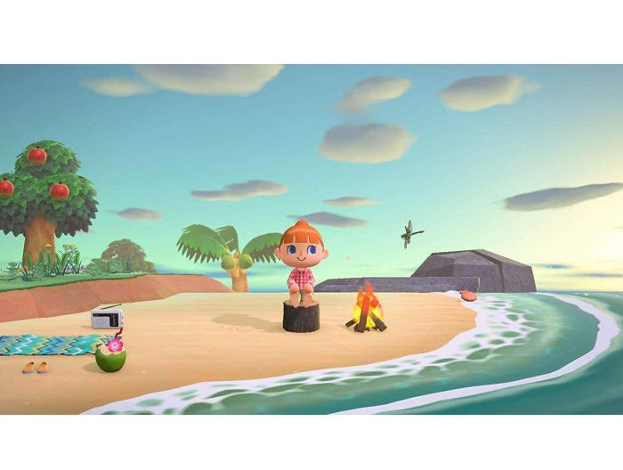 Animal Crossing: New Horizons Switch 2
