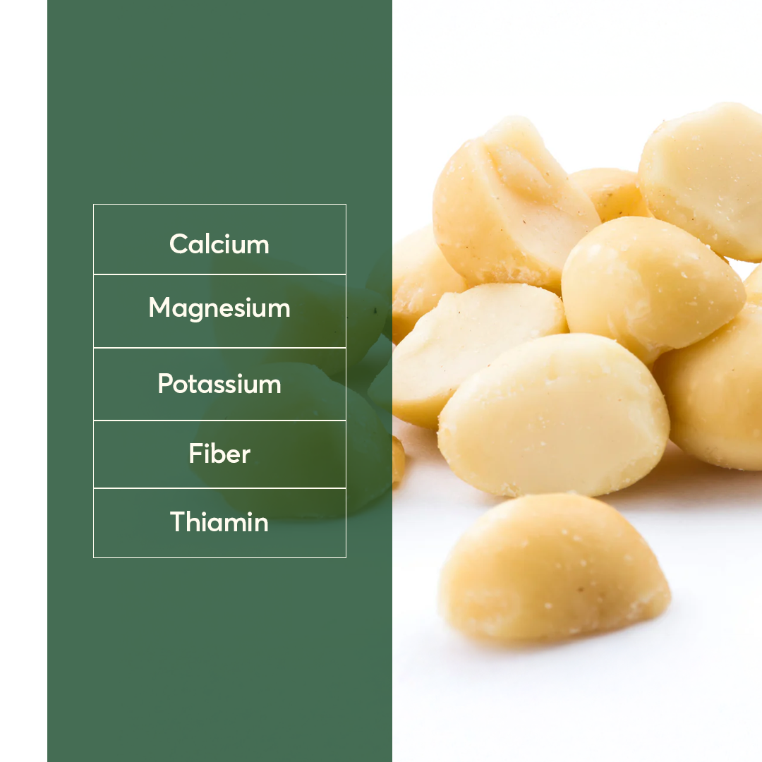 The Caphe Vietnam Premium Macadamia Nuts - 1 KG | VIP Size Double Tank | Unsalted & Roasted | Premium Vietnamese Macadamia Nuts