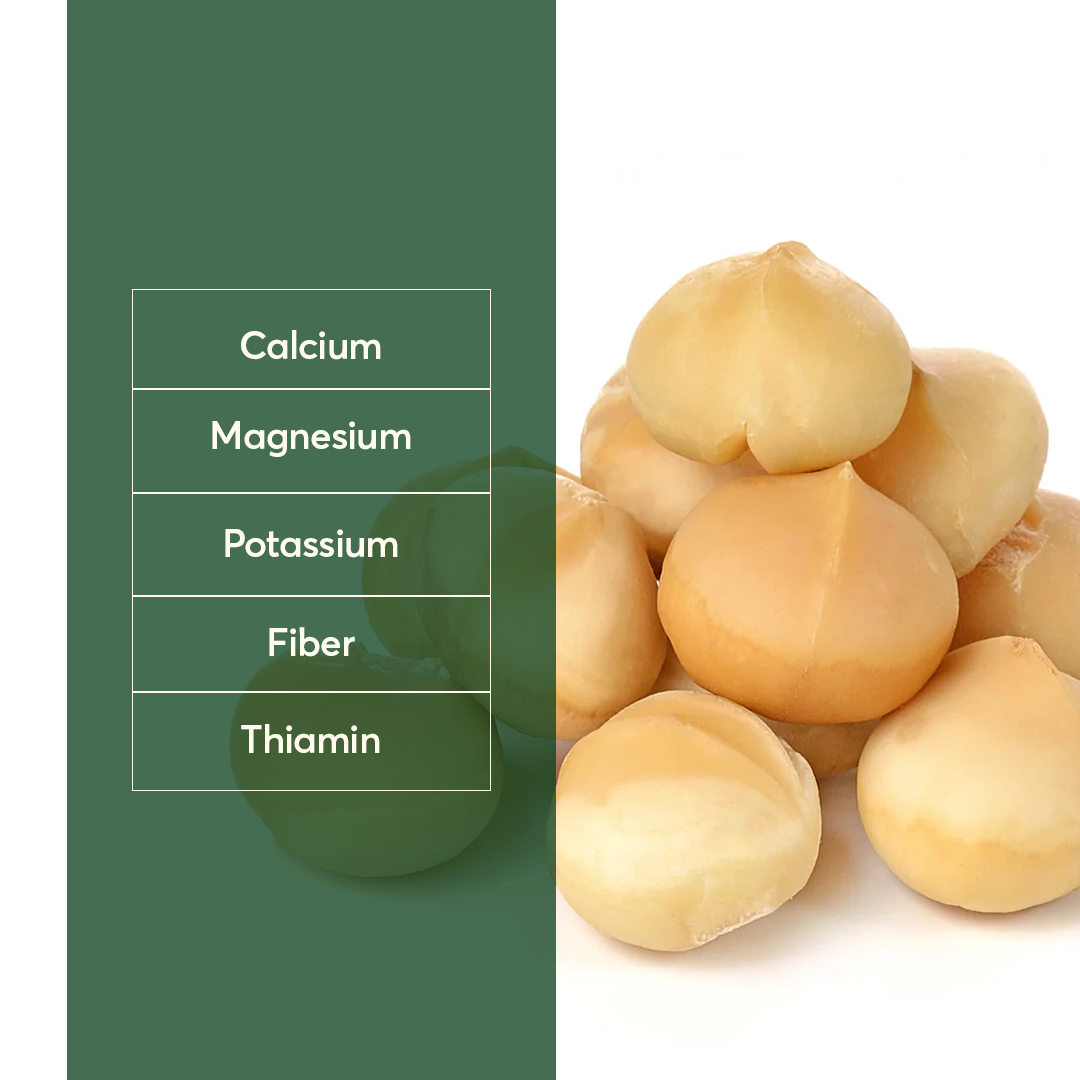 The Caphe Vietnam Premium Macadamia Nuts - 500 G | VIP Size Without Shell | Unsalted & Roasted | Premium Vietnamese Macadamia Nuts