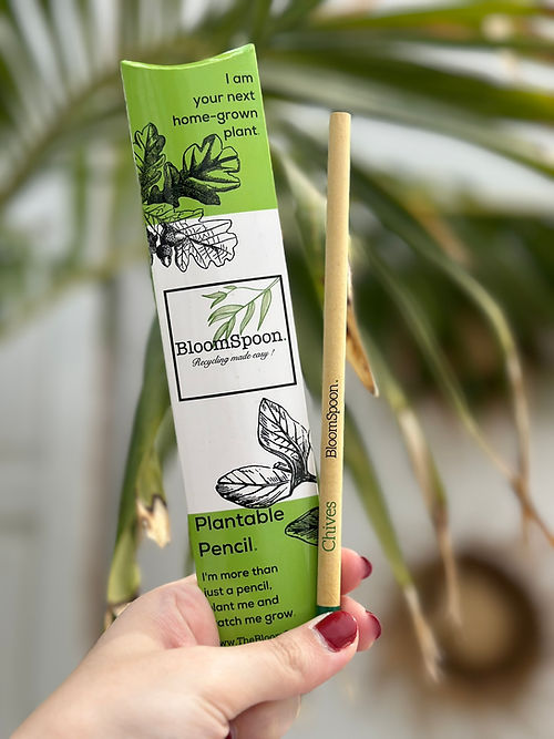 BloomSpoon Plantable Pencil - sustainable/eco friendly/greenSustainable LivingExplore creativity sustainably with our Plantable Pencils – an eco-friendly choice made from 100% non-toxic, chemical-free materials. Crafted from kraft paper, each plantable pe