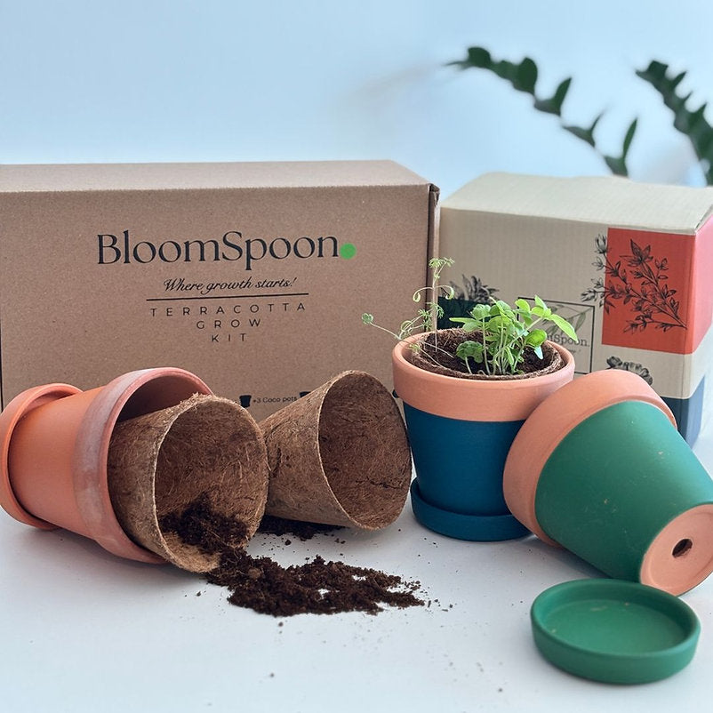BloomSpoon Terracotta Grow Kit - sustainable/eco friendly/greenSustainable LivingCreate your indoor garden with the our Terracotta Grow Kit—designed to inspire green living and bring fresh herbs to your fingertips. BloomSpoon's eco-friendly grow kit inclu