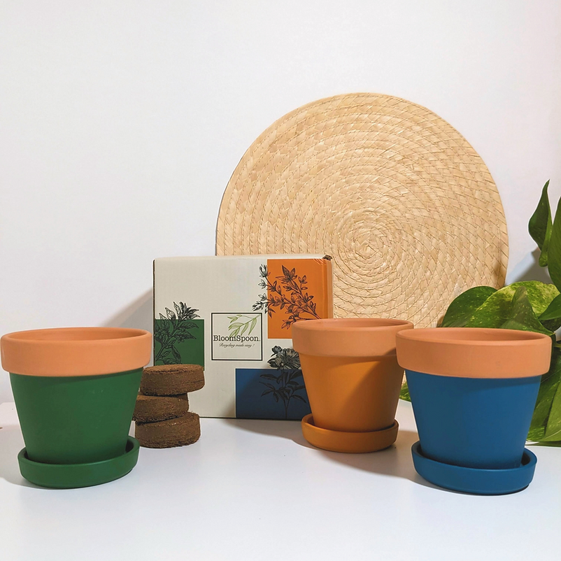 BloomSpoon Terracotta Grow Kit - sustainable/eco friendly/greenSustainable LivingCreate your indoor garden with the our Terracotta Grow Kit—designed to inspire green living and bring fresh herbs to your fingertips. BloomSpoon's eco-friendly grow kit inclu