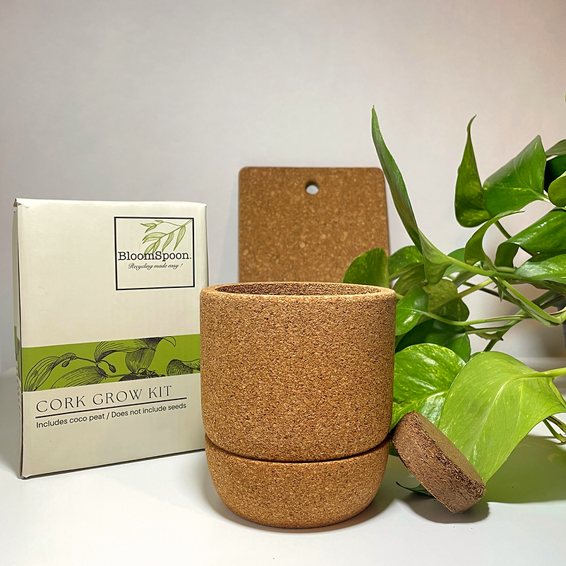 BloomSpoon Cork Grow Kit - sustainable/eco friendly/greenSustainable LivingBloomspoon Cork Grow Kit – Eco-Friendly Indoor Gardening Redefined The Bloomspoon Cork Grow Kit offers a stylish and functional way to grow greenery indoors, featuring one cork pot