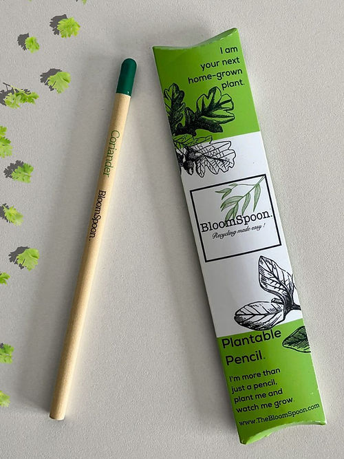 BloomSpoon Plantable Pencil - sustainable/eco friendly/greenSustainable LivingExplore creativity sustainably with our Plantable Pencils – an eco-friendly choice made from 100% non-toxic, chemical-free materials. Crafted from kraft paper, each plantable pe