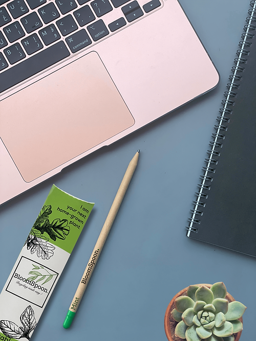 BloomSpoon Plantable Pencil - sustainable/eco friendly/greenSustainable LivingExplore creativity sustainably with our Plantable Pencils – an eco-friendly choice made from 100% non-toxic, chemical-free materials. Crafted from kraft paper, each plantable pe