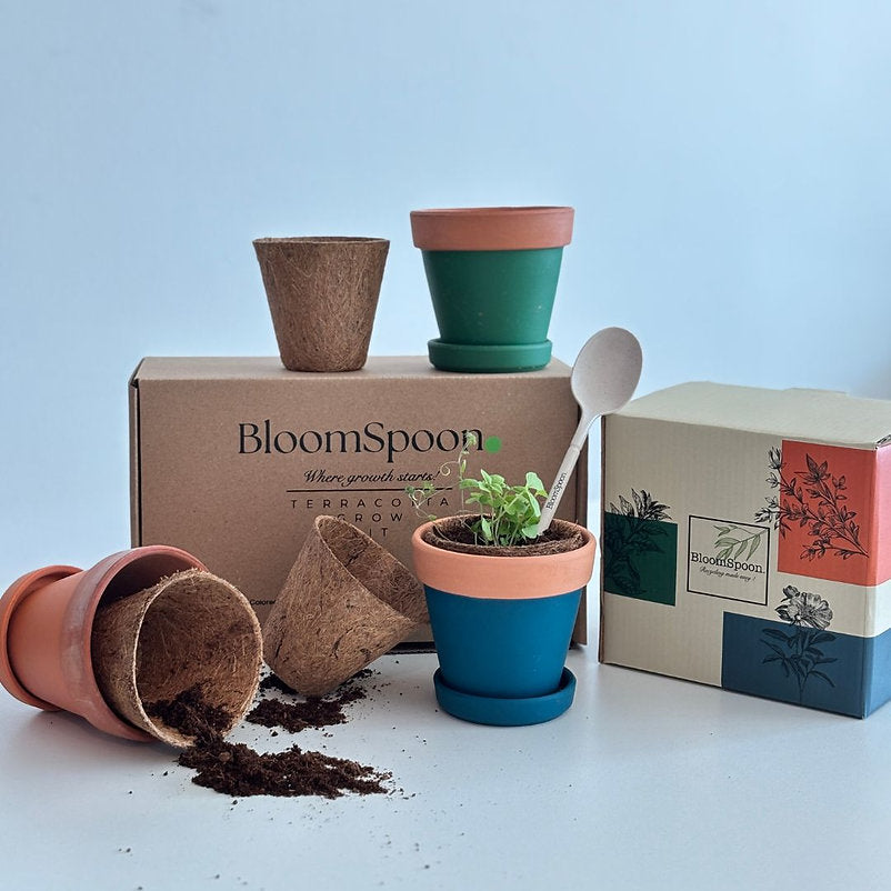 BloomSpoon Terracotta Grow Kit - sustainable/eco friendly/greenSustainable LivingCreate your indoor garden with the our Terracotta Grow Kit—designed to inspire green living and bring fresh herbs to your fingertips. BloomSpoon's eco-friendly grow kit inclu