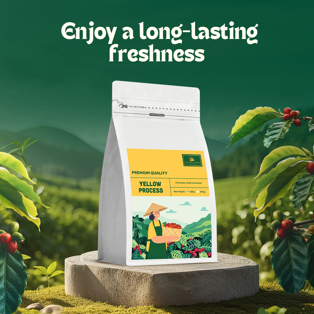 The Caphe Vietnam Premium Whole Beans Coffee - 250 G | Yellow Process | Medium Roast, Premium Robusta | Vietnamese Whole Coffee Bean
