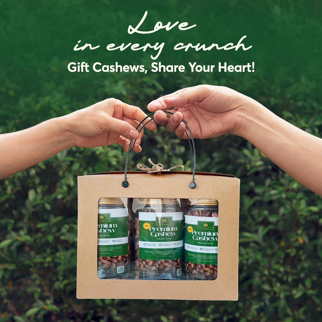 The Caphe Vietnam Premium Macadamia Nuts - 1 KG | VIP Size With Shell | Unsalted & Roasted | Premium Vietnamese Macadamia Nuts