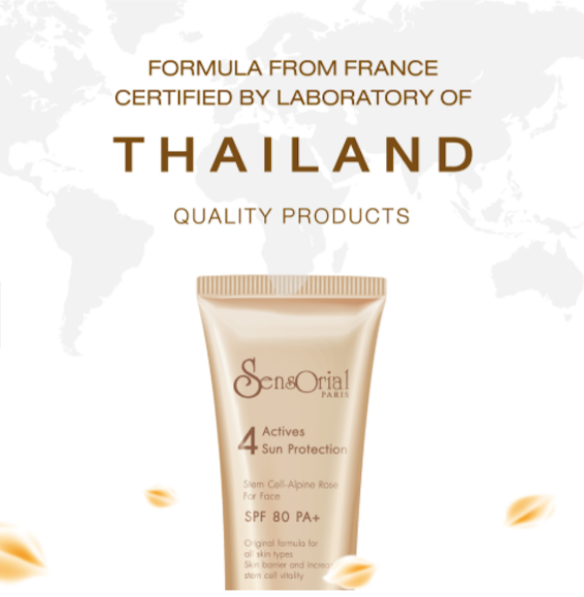 Sensorial Stem Cell Sun Protection SPF Booster 80Personal CareA mild and light sunscreen cream with a non-greasy and silk layer. Brightens your skin tone and shields with UVA, UVB and UVC protection. It can be used as concealer, make up base or cream foun