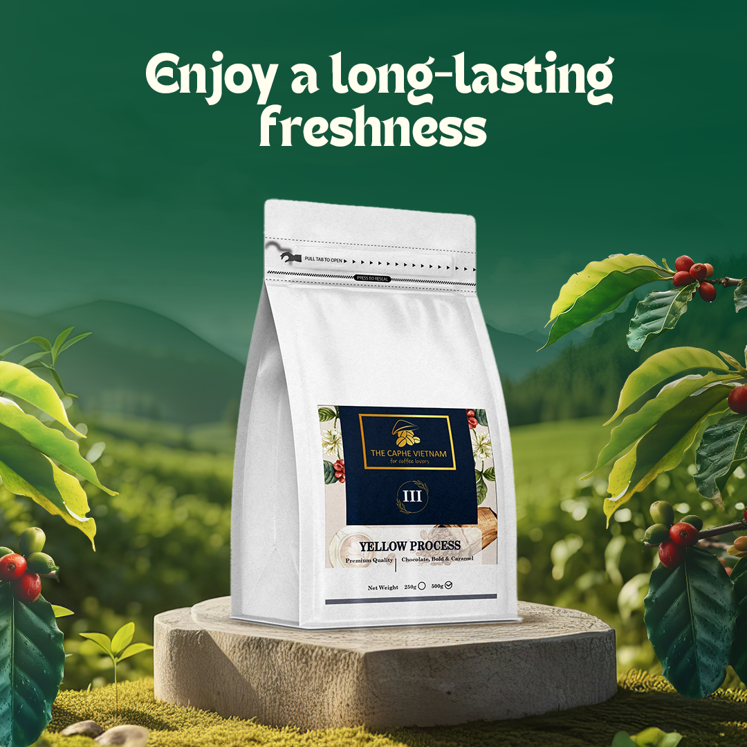 The Caphe Vietnam Premium Whole Beans Coffee - 1 KG | Yellow Process | Medium Roast, Premium Robusta | Vietnamese Whole Coffee Bean