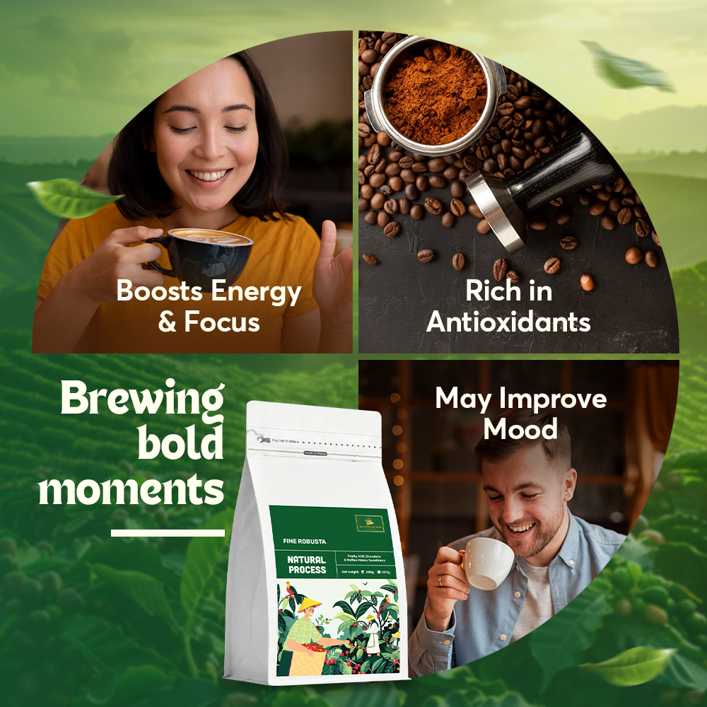 The Caphe Vietnam Coffee & Cashew Gift Set | Fine Robusta Natural Process Whole Bean 250g | Wood Fire Roasted Cashew, Salted Skin-On 500g | Vietnamese Phin Filter (Gold) | Traditional Drip Coffee