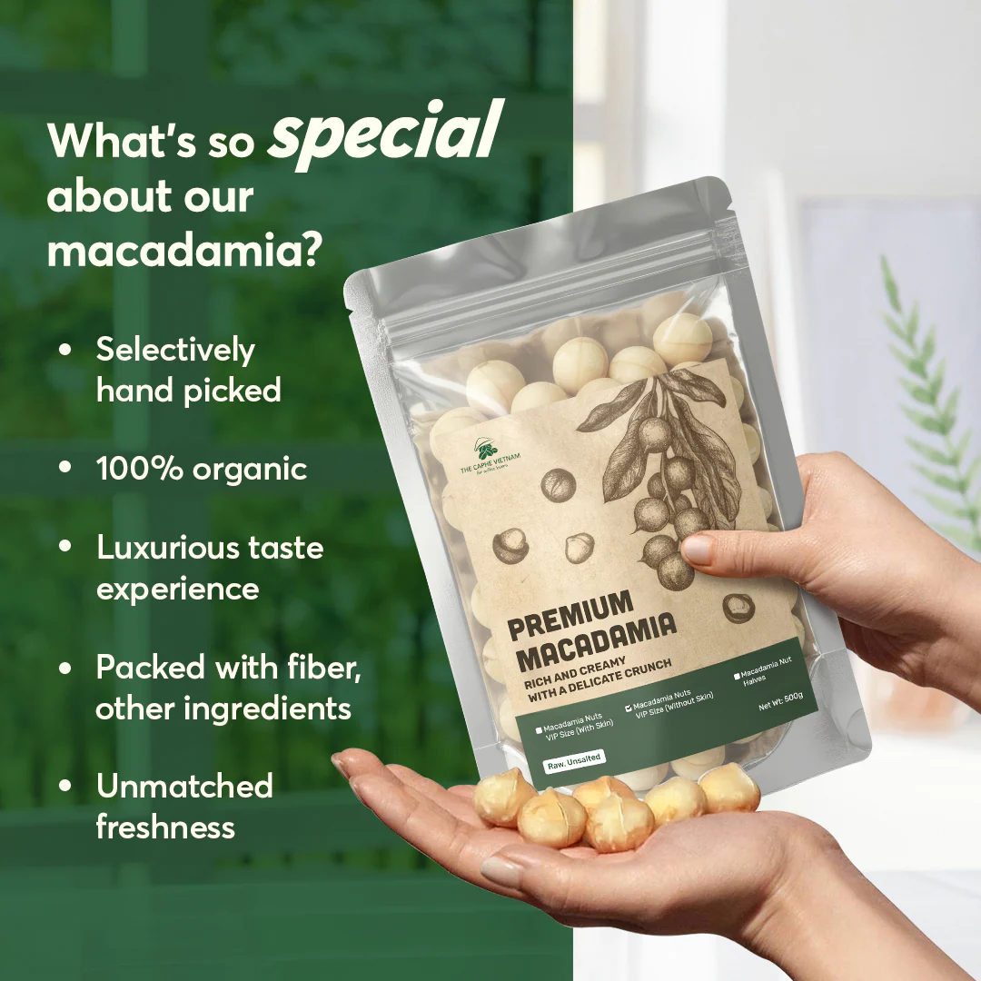 The Caphe Vietnam Premium Macadamia Nuts - 1 KG | VIP Size Without Shell | Unsalted & Roasted | Premium Vietnamese Macadamia Nuts