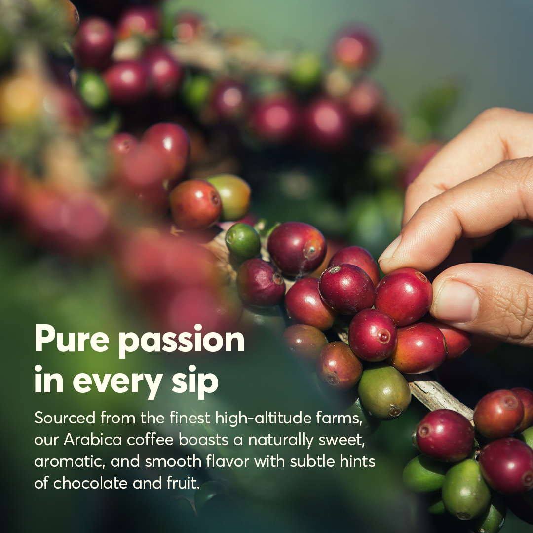 The Caphe Vietnam Specialty Arabica Whole Beans Coffee - 1 KG | 100% Arabica, Fully Washed | Specialty Coffee - Arabica Whole Coffee Bean