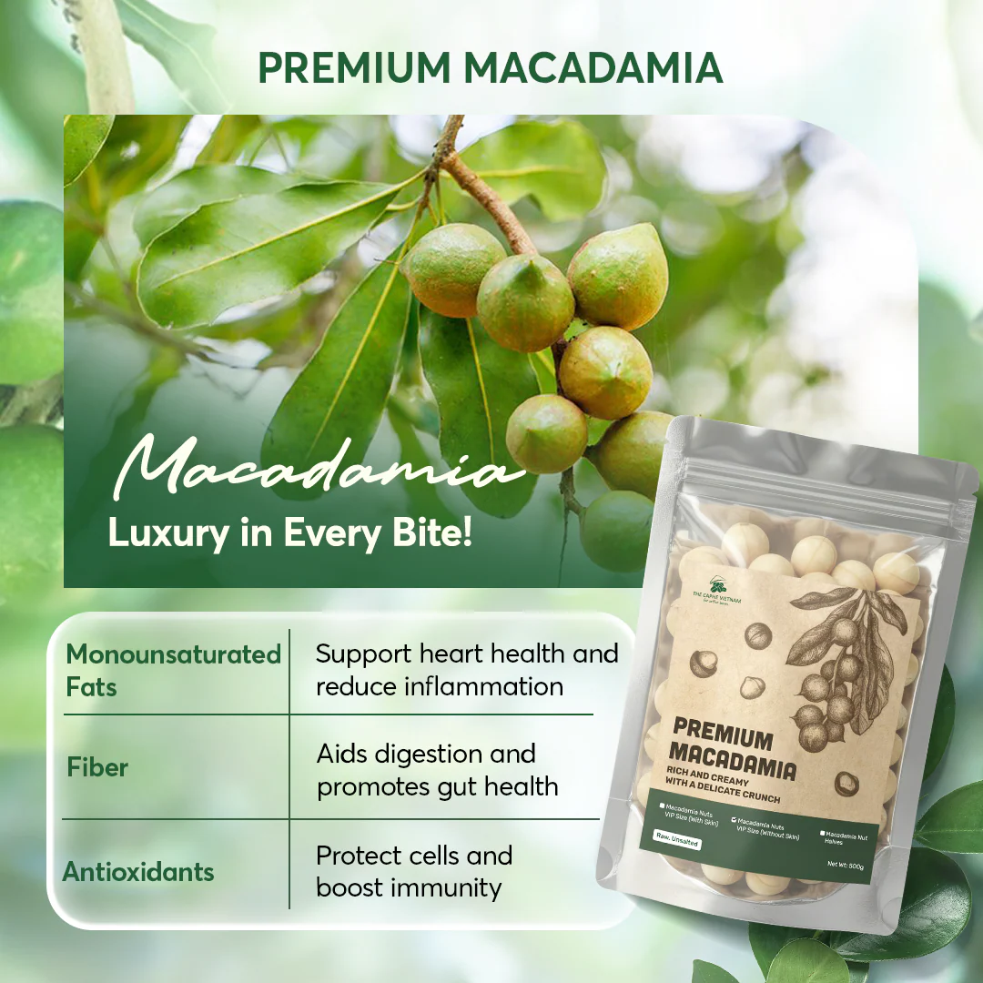 The Caphe Vietnam Premium Macadamia Nuts - 500 G | VIP Size Without Shell | Unsalted & Roasted | Premium Vietnamese Macadamia Nuts