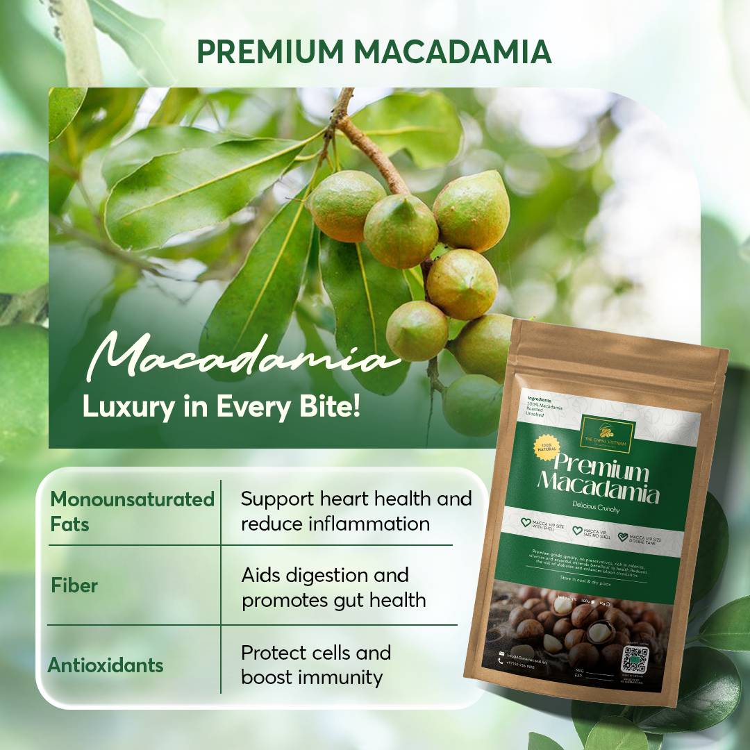 The Caphe Vietnam Premium Macadamia Nuts - 1 KG | VIP Size Double Tank | Unsalted & Roasted | Premium Vietnamese Macadamia Nuts