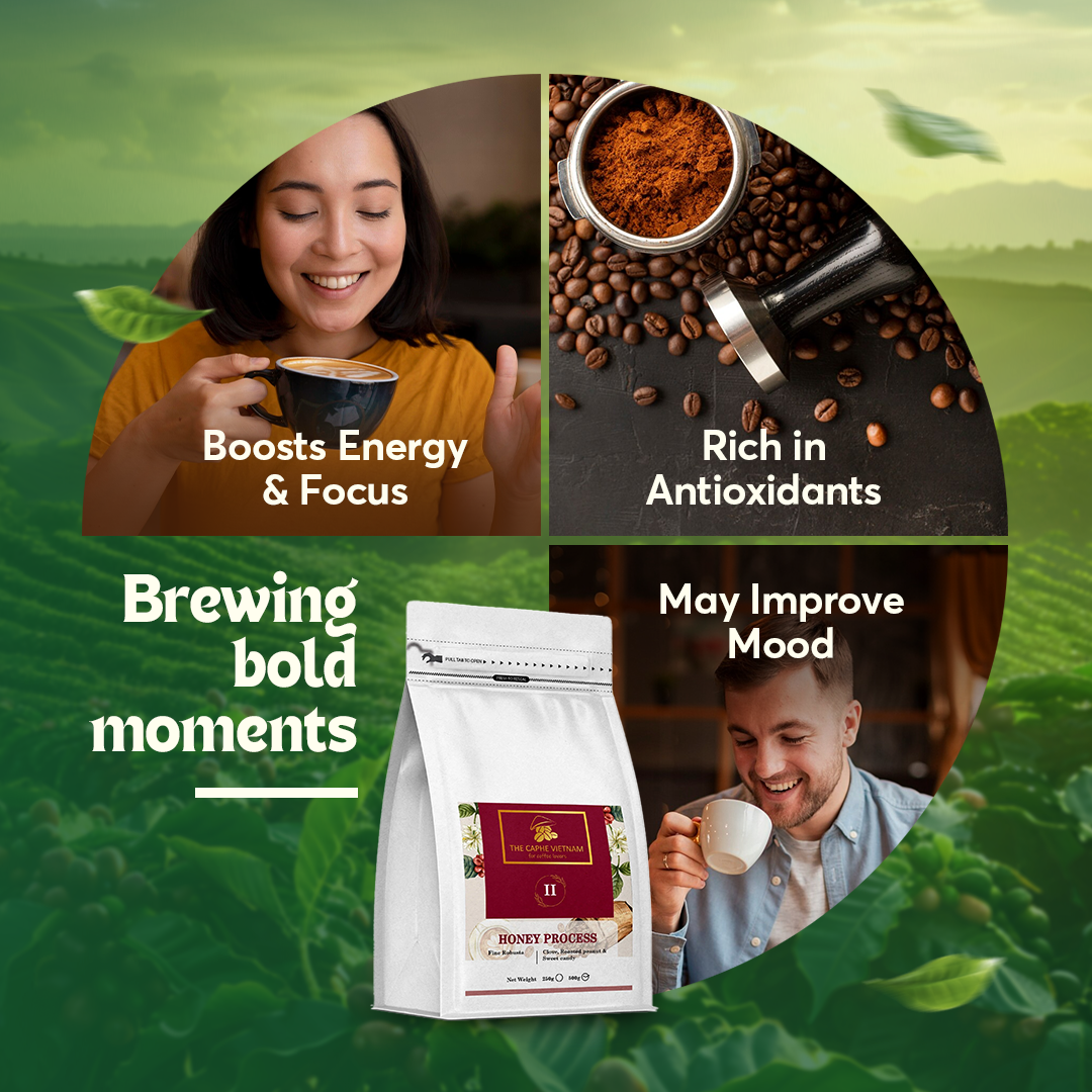 The Caphe Vietnam Fine Robusta Whole Beans Coffee - 500 G | Honey Process | Medium Roast, 100% Organic Robusta | Vietnamese Whole Coffee Bean