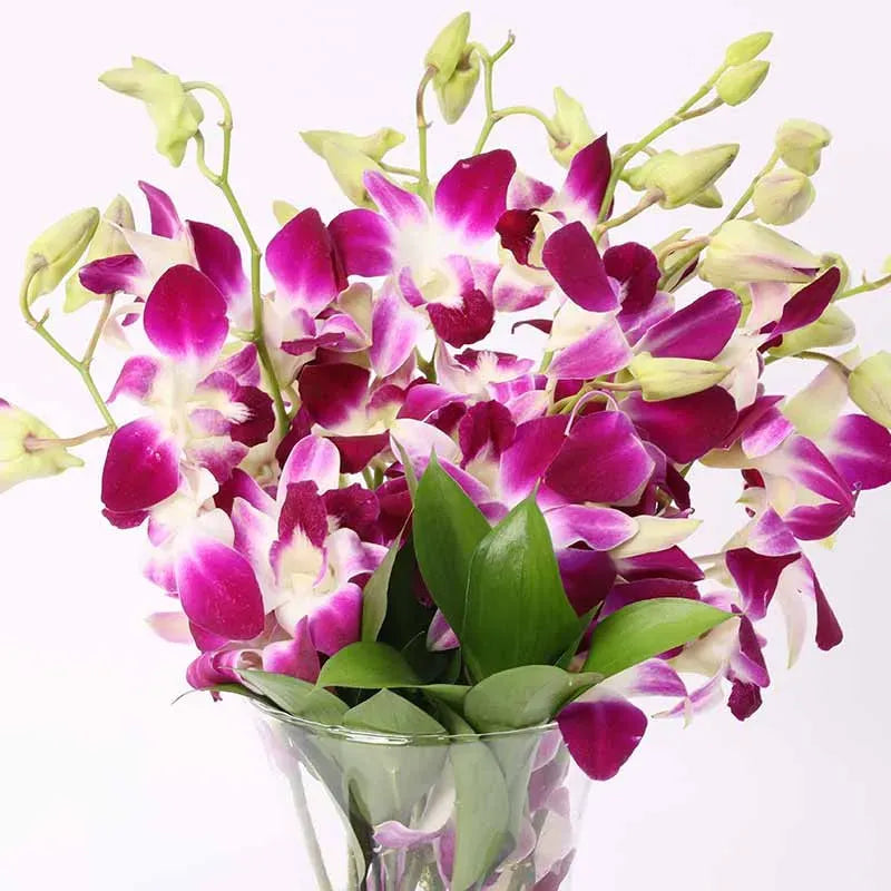 Purple orchid bouquet for special occasions