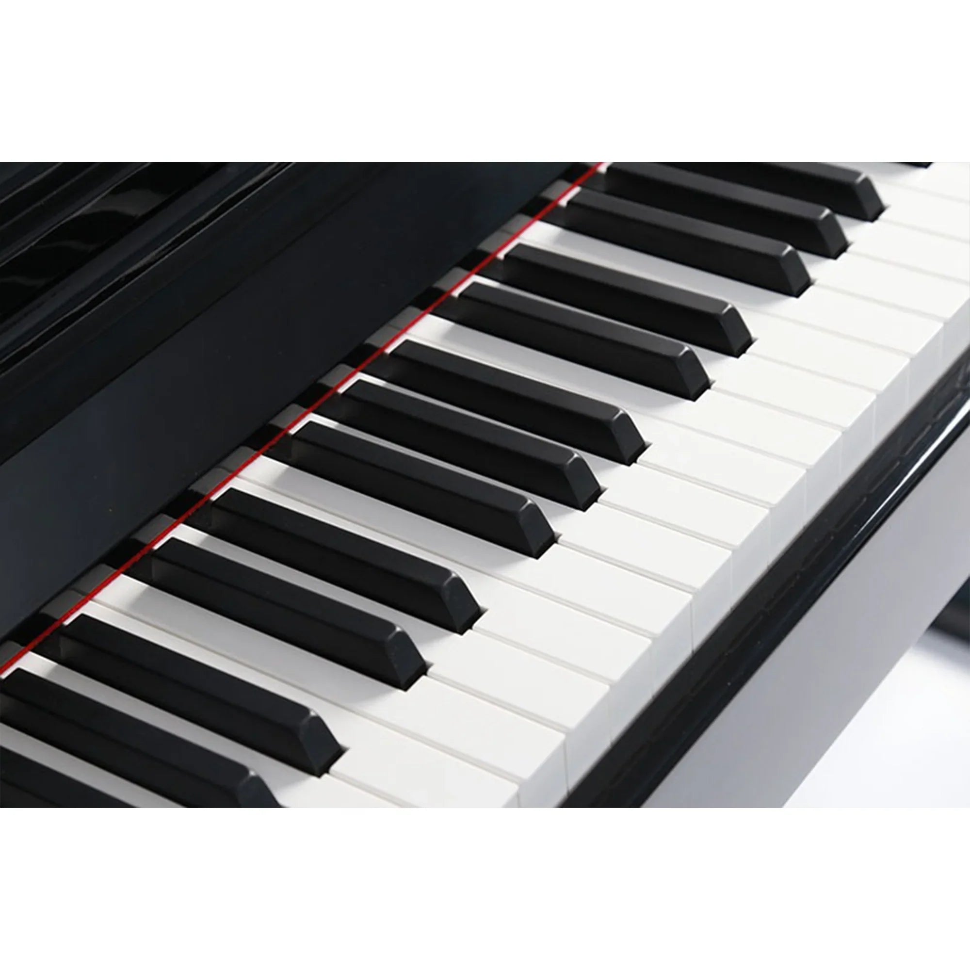Steiner DP-850 Digital Piano with Bench Black