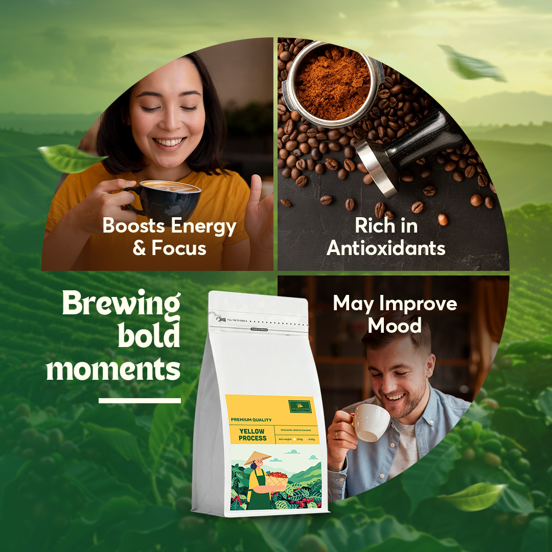 The Caphe Vietnam Premium Whole Beans Coffee - 500 G | Yellow Process | Medium Roast, Premium Robusta | Vietnamese Whole Coffee Bean