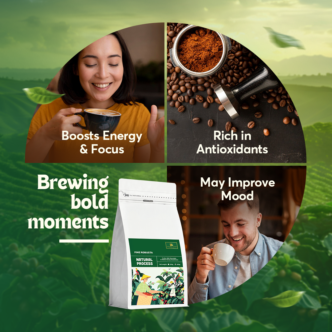 The Caphe Vietnam Fine Robusta Ground Coffee - 1 KG | Natural Process | Medium Roast, 100% Organic Robusta | Vietnamese Coffee Ground