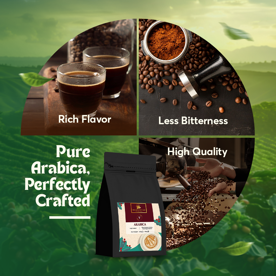 The Caphe Vietnam Specialty Arabica Whole Beans Coffee - 500 G | 100% Arabica, Fully Washed | Specialty Coffee - Arabica Whole Coffee Bean