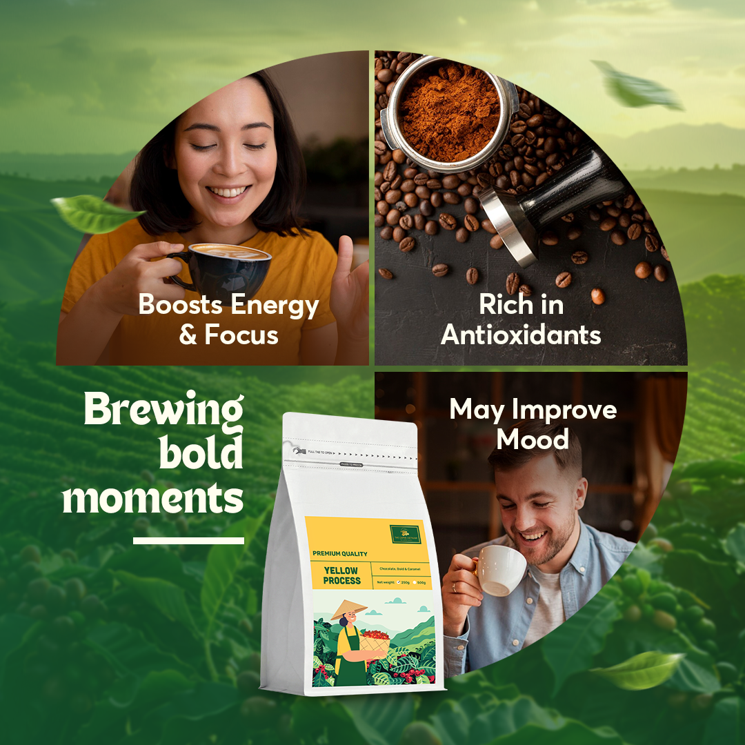 The Caphe Vietnam Premium Whole Beans Coffee - 250 G | Yellow Process | Medium Roast, Premium Robusta | Vietnamese Whole Coffee Bean