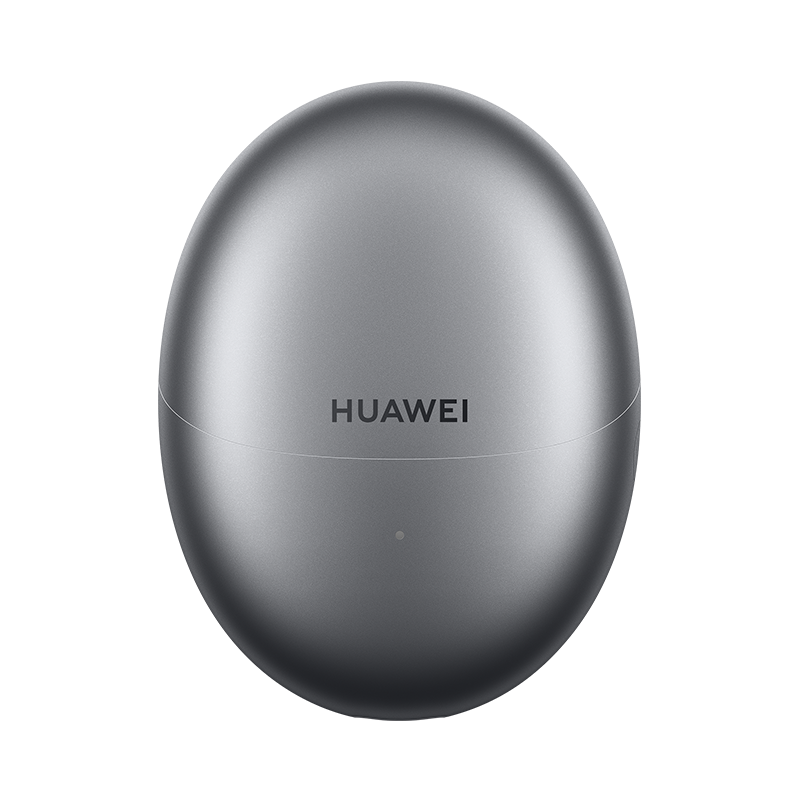 HUAWEI FreeBuds 6 charging case - Black