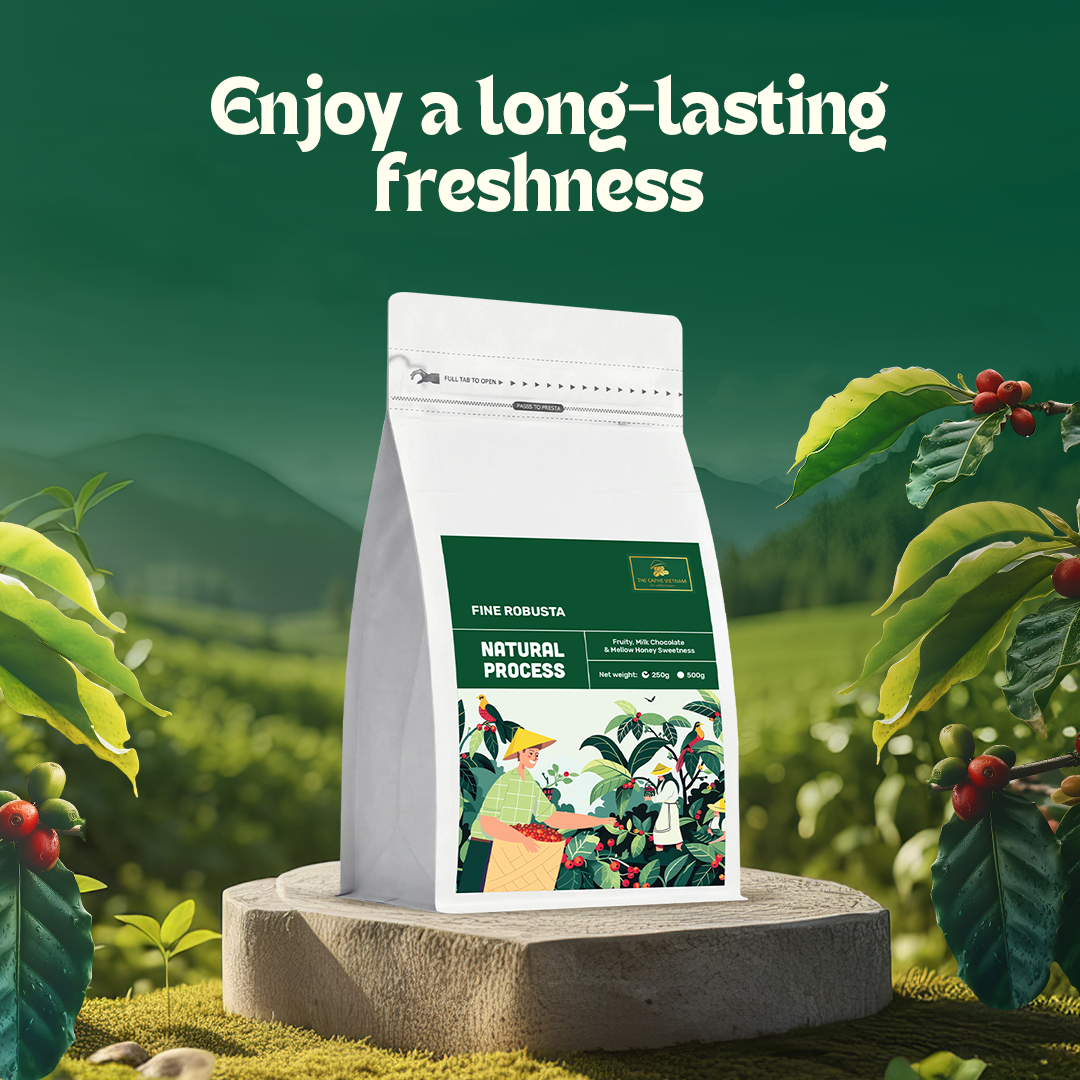 The Caphe Vietnam Fine Robusta Ground Coffee - 250 G | Natural Process | Medium Roast, 100% Organic Robusta | Vietnamese Coffee Ground