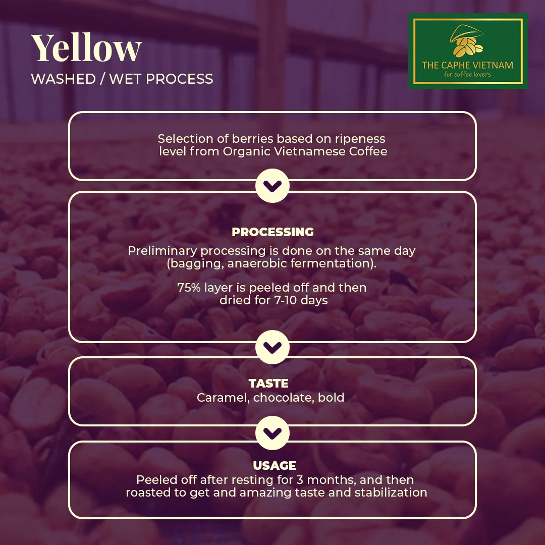 The Caphe Vietnam Premium Ground Coffee - 250 G | Yellow Process | Medium Roast, Premium Robusta | Vietnamese Coffee Ground