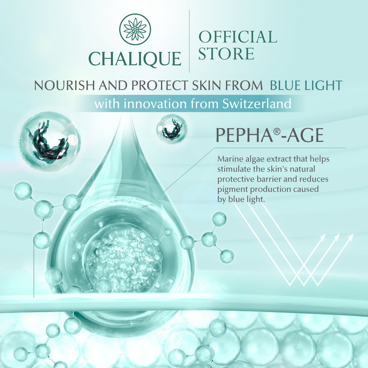 CHALIQUE Timeshield UV Defense Fluid Hybrid Sunscreen SPF – Lightweight UV Protection