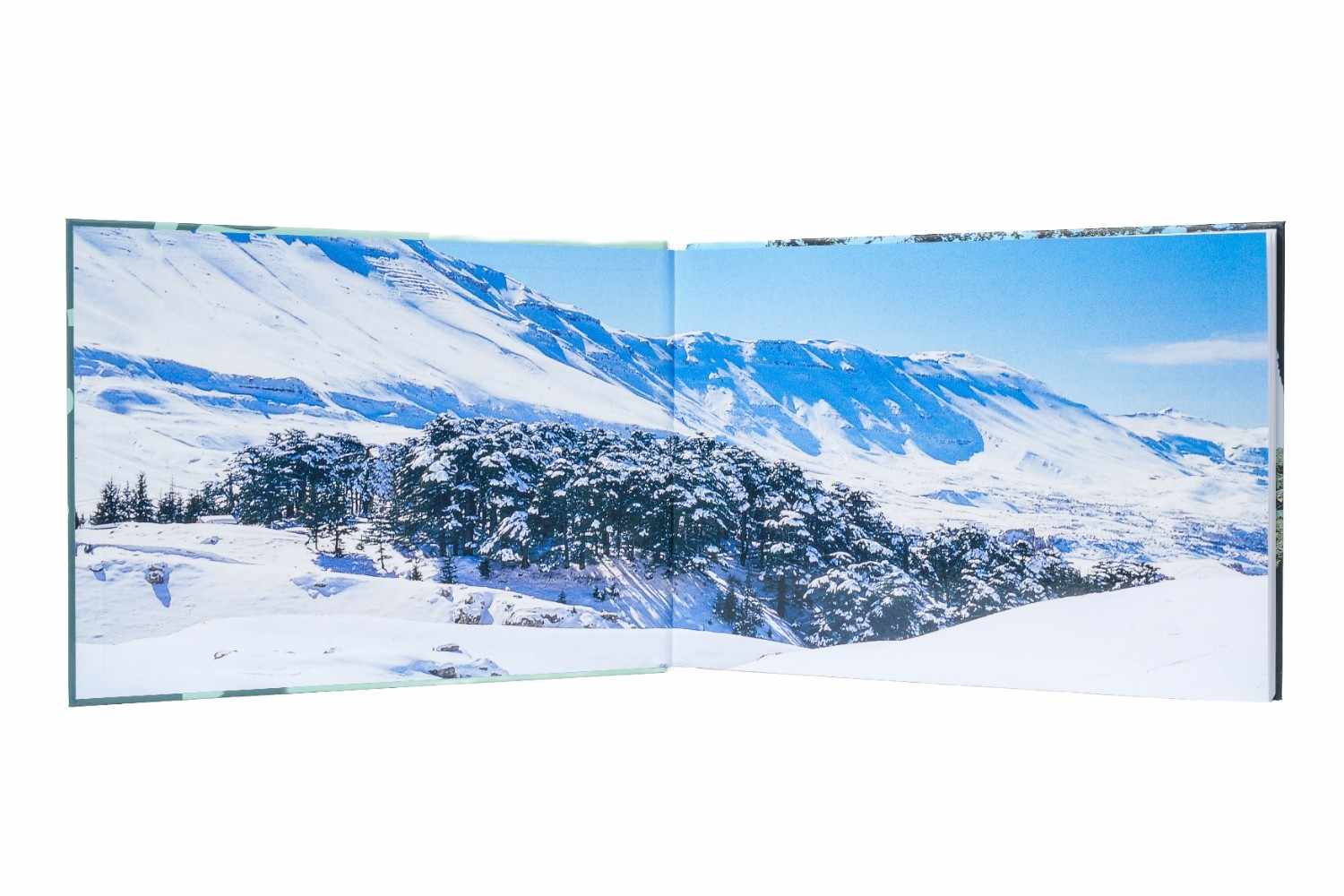 Eternal Lebanon - Liban Éternel (UAE/International Delivery )