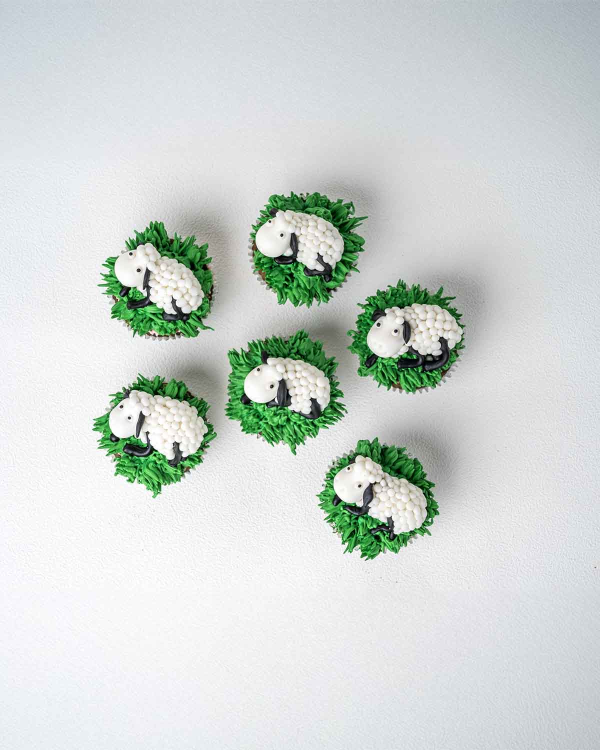 6 Sheep Cupcakes – 25 Collection | Eid Themed Treats