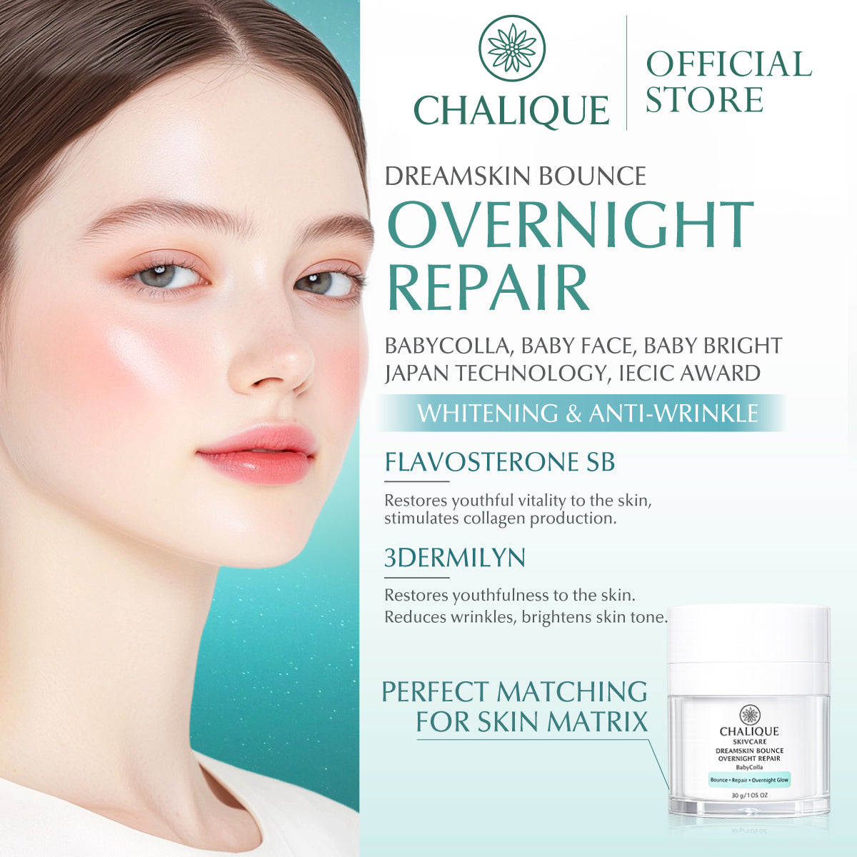 CHALIQUE DreamSkin Bounce Overnight Repair – Overnight Skin Repair & Hydrating Cream