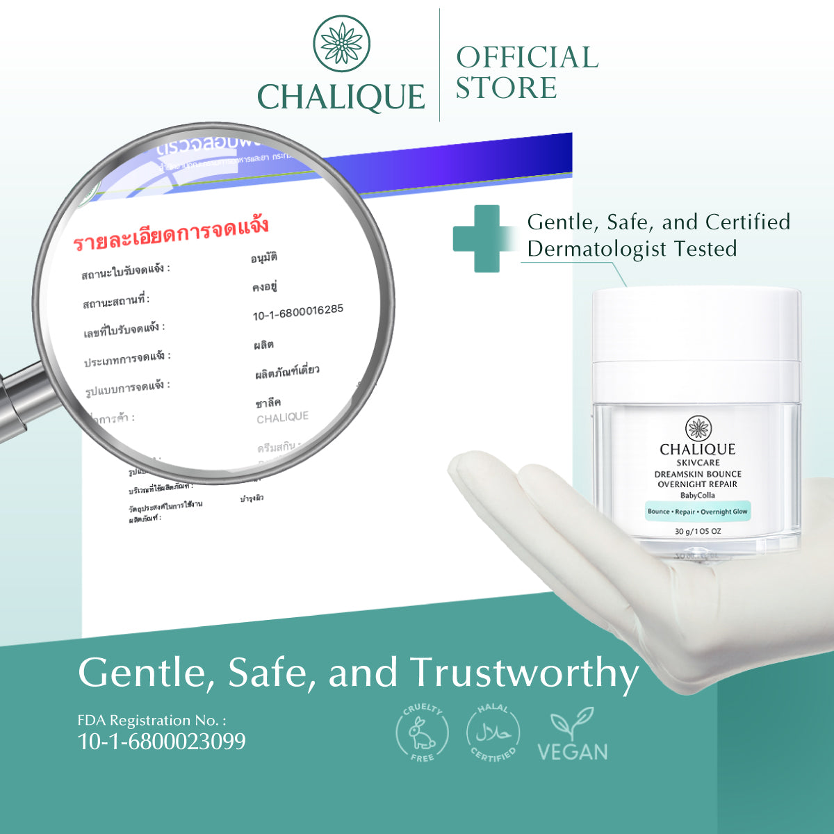 CHALIQUE DreamSkin Bounce Overnight Repair – Overnight Skin Repair & Hydrating Cream
