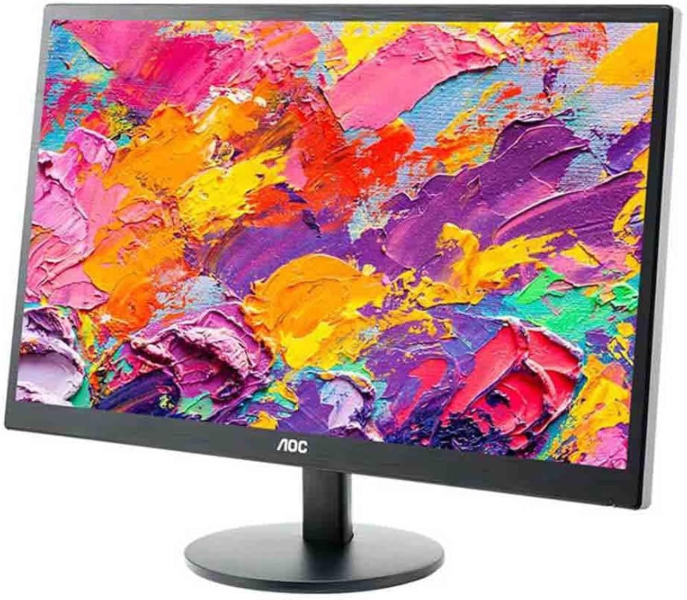 AOC 19.5" LED Monitor (E2070SWN)