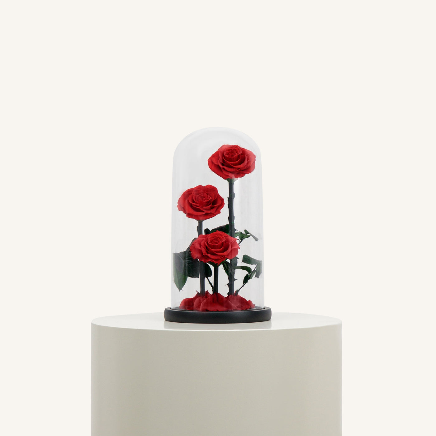 3 Forever Roses RedFlowersSame-day delivery Forever roses with unique preservation method can sustain its freshness for 3-5 years without watering and management, keeping your love eternal. Order this forever love.