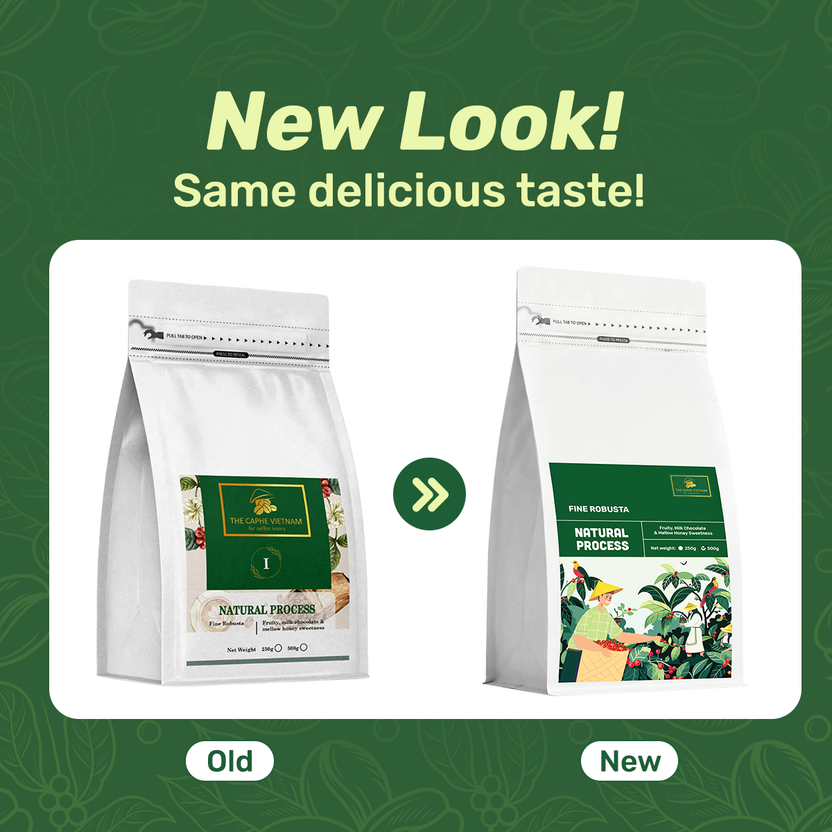 The Caphe Vietnam Fine Robusta Ground Coffee - 1 KG | Natural Process | Medium Roast, 100% Organic Robusta | Vietnamese Coffee Ground