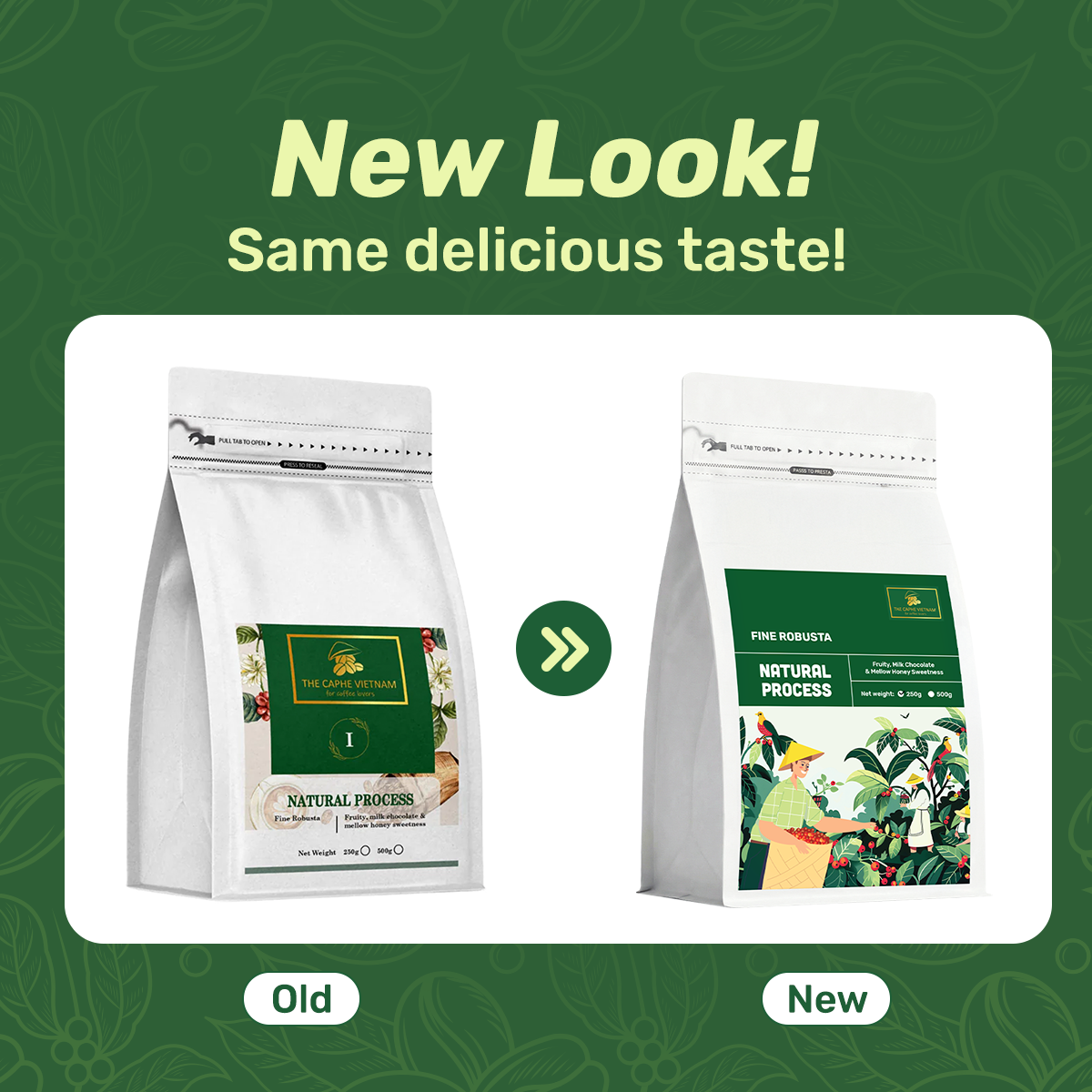 The Caphe Vietnam Fine Robusta Ground Coffee - 250 G | Natural Process | Medium Roast, 100% Organic Robusta | Vietnamese Coffee Ground