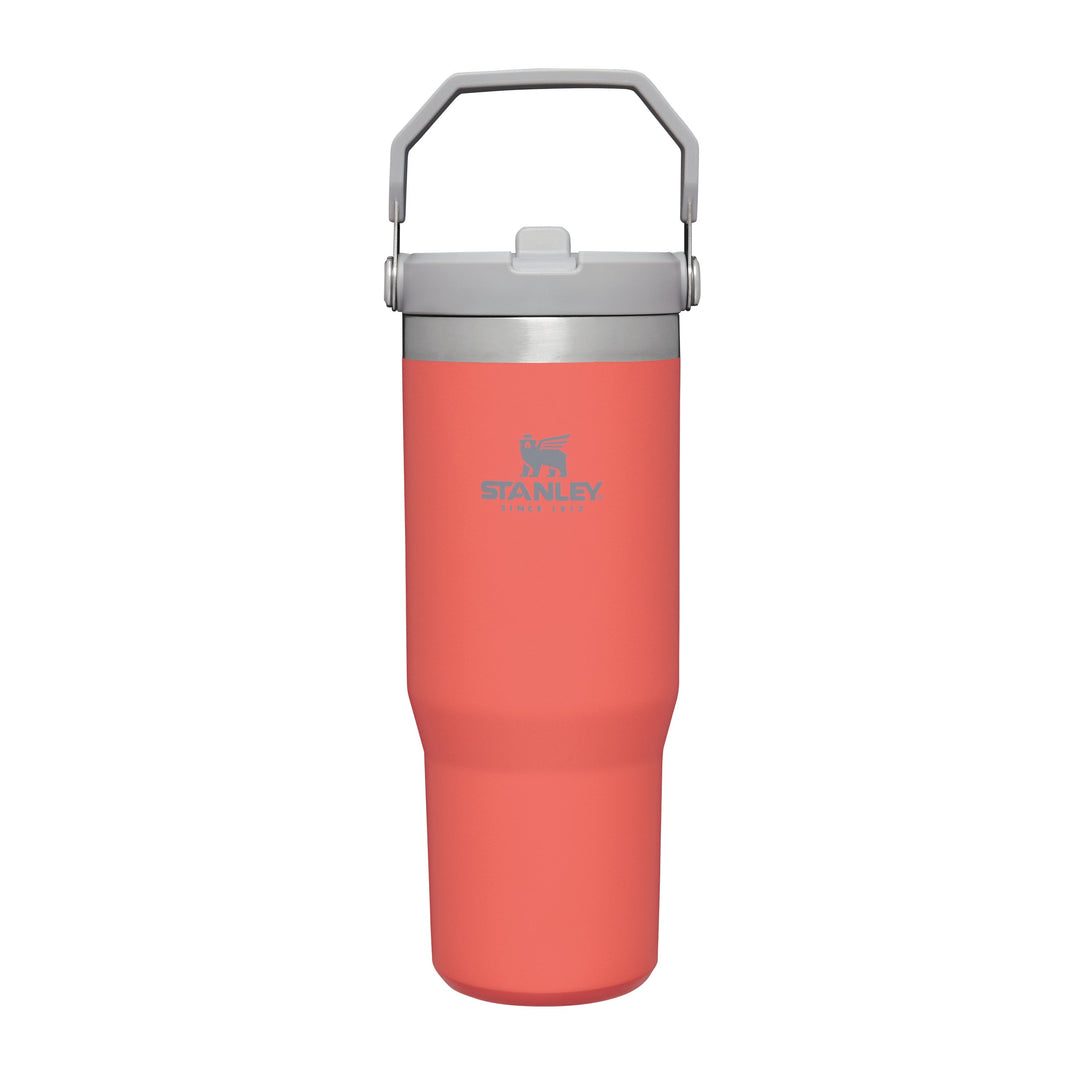 STANLEY The Iceflow Flip Straw Tumbler | 30oz - GuavaKitchen StorageDelivery within 7-10 working days These bold, colorful tumblers are made to keep you hydrated in a fully functional style. Ideal for car commutes or workouts at home, it has a built-in fl