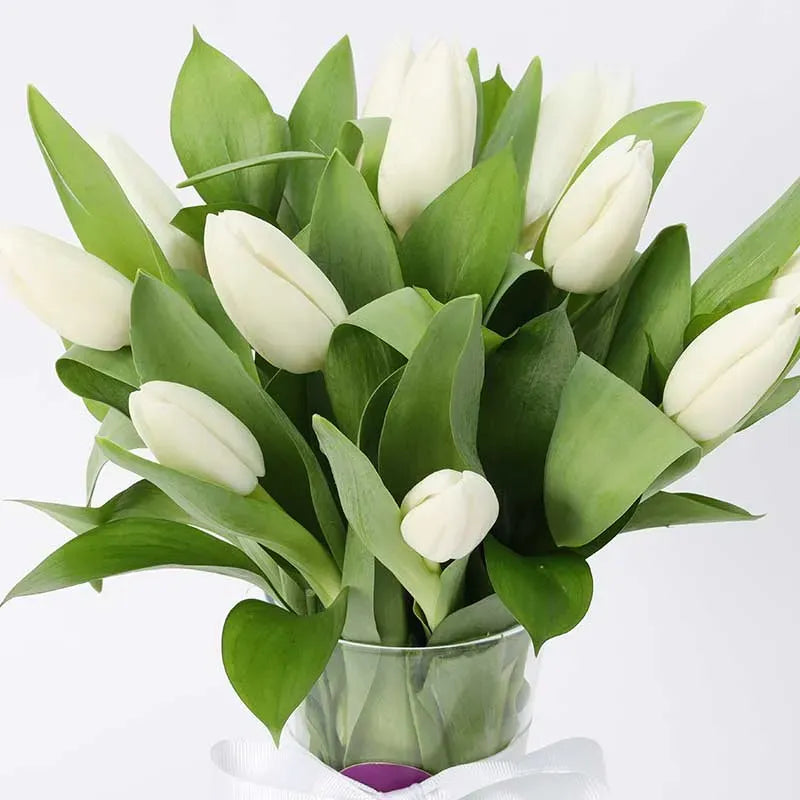 Fresh white tulips bouquet gift