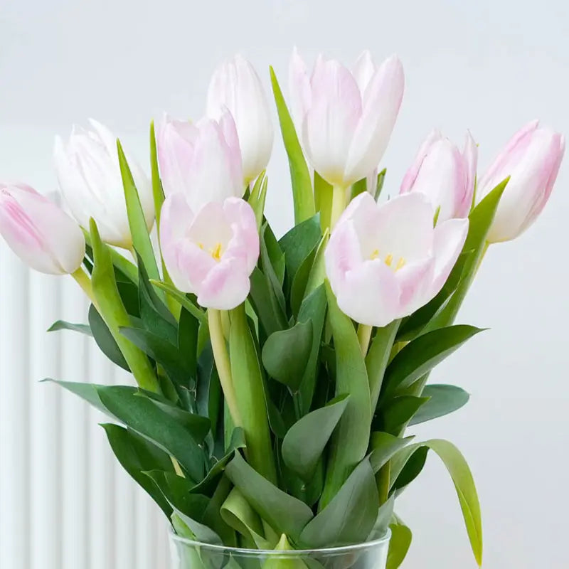 Romantic tulip gift arrangement