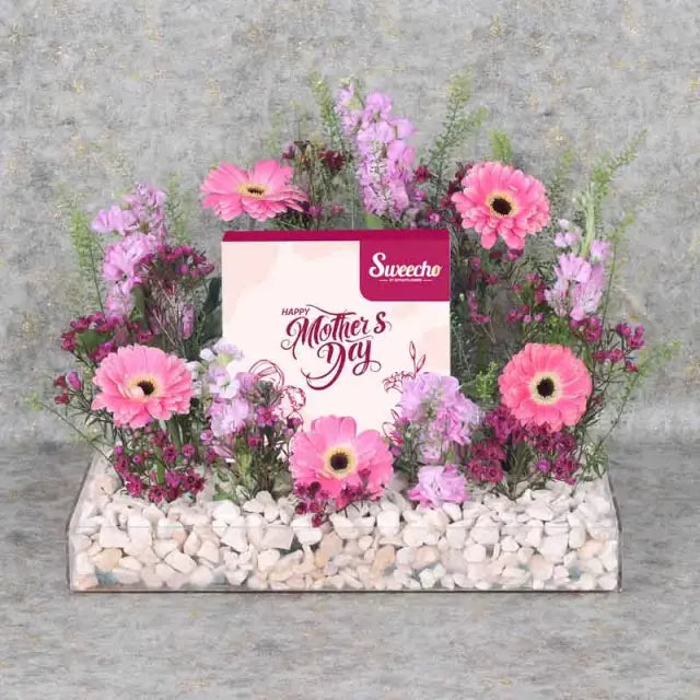 Mothers Day Flower and Chocolate ArrangementGifts and HampersPremium Assorted Chocolates By Sweecho 16 Pcs 5 Pink Gerberas 5 Pink Matthiola 3 Stems Purple Wax Flowers Fillers- 3 Stems Lepidium Prepared in a Large Acrylic Tray - 43X33 cm