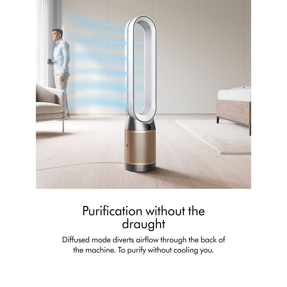 Dyson TP12 Purifier Cool PC2 De-NOx – White/Gold