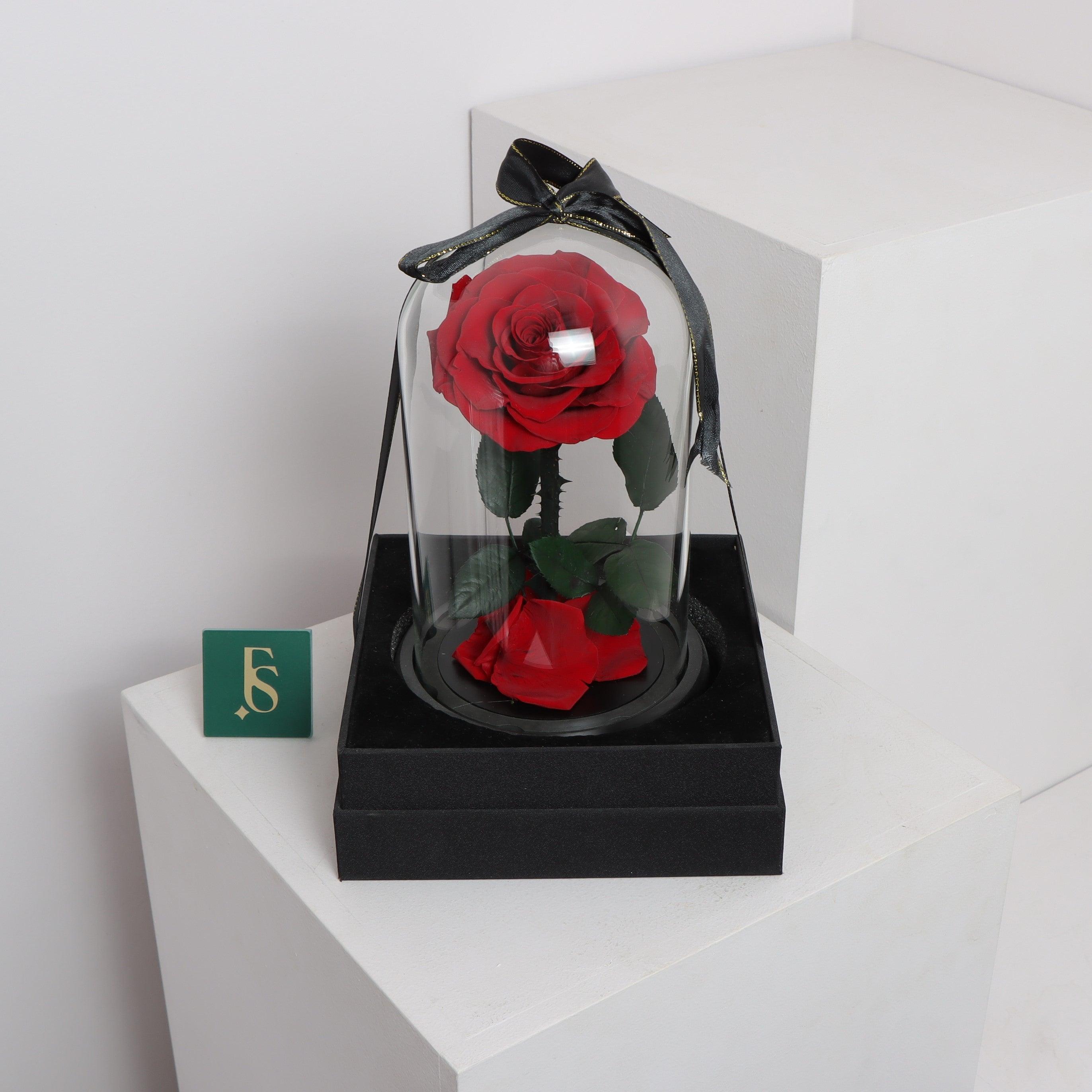 1 Forever Rose RedFlowersSame-day delivery Forever roses with unique preservation method can sustain its freshness for 3-5 years without watering and management, keeping your love eternal. Order this forever love.