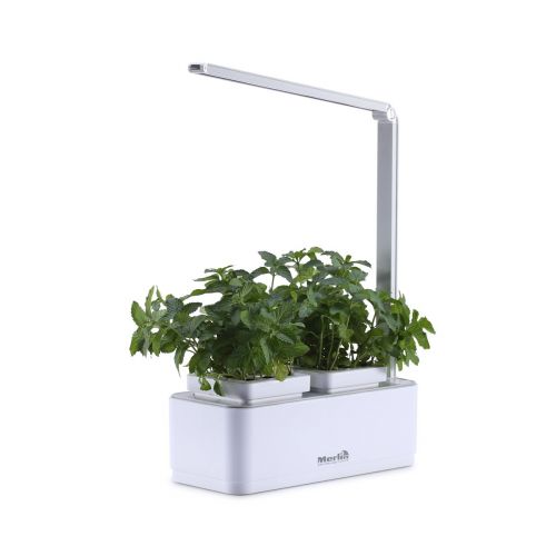 Merlin Desk Gardening SystemOutdoorGrowing fresh homegrown food has never been easier. Grow the cleanest food or fresh herbs or simply flowers all year-round. Effortlessly! DeskGarden is a plant production unit that grows fresh herbs, vegetables, salad gr